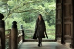 Foto de The Assassin