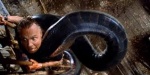 Foto de Anaconda