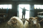 Foto de Rams (El valle de los carneros)