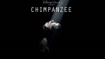 Foto de Chimpanzee