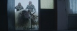 Foto de Rams (El valle de los carneros)