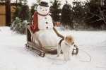 Foto de Jack Frost