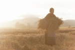 Foto de Sunset Song