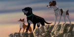Foto de The Plague Dogs