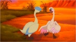 Foto de El cisne mudito