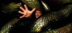 Foto de Anaconda 3: The Offspring