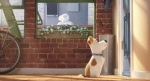 Foto de Mascotas