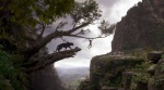 Foto de El libro de la selva