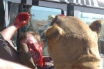 Foto de Safari sangriento