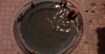 Foto de Niños del paraíso