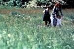 Foto de Regreso a Howards End