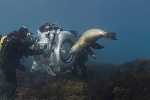 Foto de Under the Sea 3D