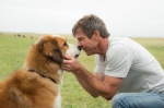 Foto de Tu mejor amigo