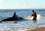 Foto de El faro de las orcas