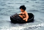 Foto de El secreto de la isla de las focas