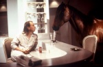 Foto de Un caballo en la bolsa