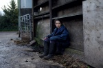 Foto de The Levelling