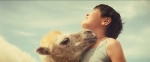 Foto de Celestial Camel