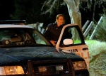 Foto de The Neighbor