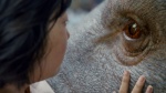 Foto de Okja