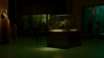 Foto de Wonderstruck. El museo de las maravillas