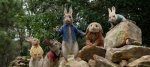 Foto de Peter Rabbit