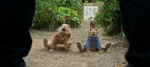 Foto de Peter Rabbit