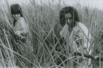 Foto de Onibaba