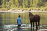 Foto de Lean on Pete