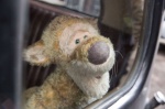 Foto de Christopher Robin