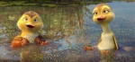 Foto de Al aire, patos