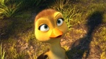 Foto de Al aire, patos