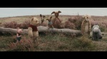 Foto de Christopher Robin