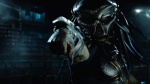 Foto de Predator