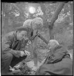 Foto de Bergman, su gran año