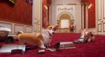 Foto de Corgi, las mascotas de la Reina