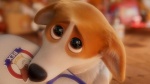 Foto de Corgi, las mascotas de la Reina