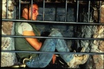 Foto de Extremities (La humillación)