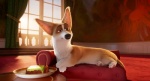 Foto de Corgi, las mascotas de la Reina