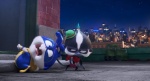 Foto de Mascotas 2
