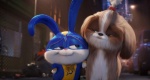 Foto de Mascotas 2