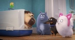 Foto de Mascotas 2