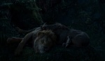 Foto de El rey león
