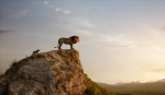Foto de El rey león