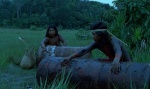 Foto de El canto de la selva