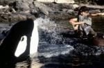 Foto de Liberad a Willy 2