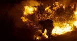 Foto de Lo que arde