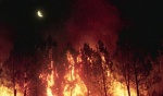 Foto de Lo que arde
