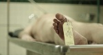 Foto de The Dead Center