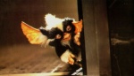 Foto de Gremlins 2. La nueva generación